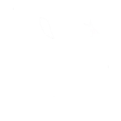Chrome Icon